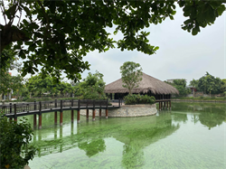 HÀ NAM - LAKE HOUSE